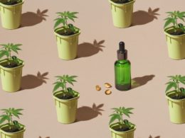 Brands Creating Great CBD Based Beauty Products