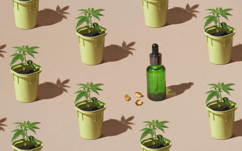 Brands Creating Great CBD Based Beauty Products