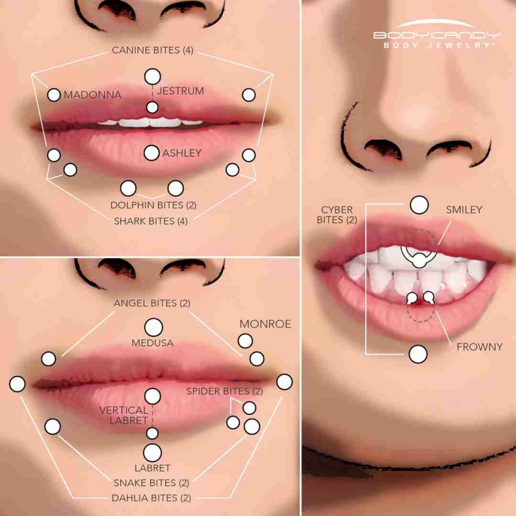 Lip piercing guide