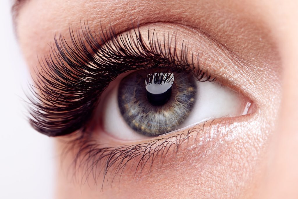 Where Do Eyelashes Go When They Enter Your Eyes?