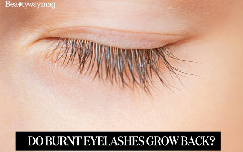 Do Burnt Eyelashes Grow Back?