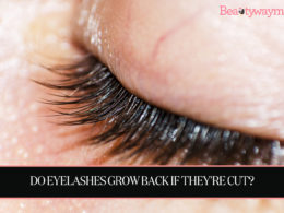 Do Eyelashes Grow Back If They're Cut
