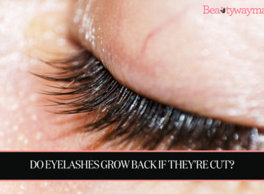 Do Eyelashes Grow Back If They're Cut