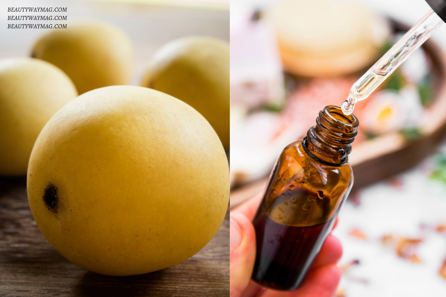 Marula Oil Benefits For Beauty Guide) BeautyWayMag