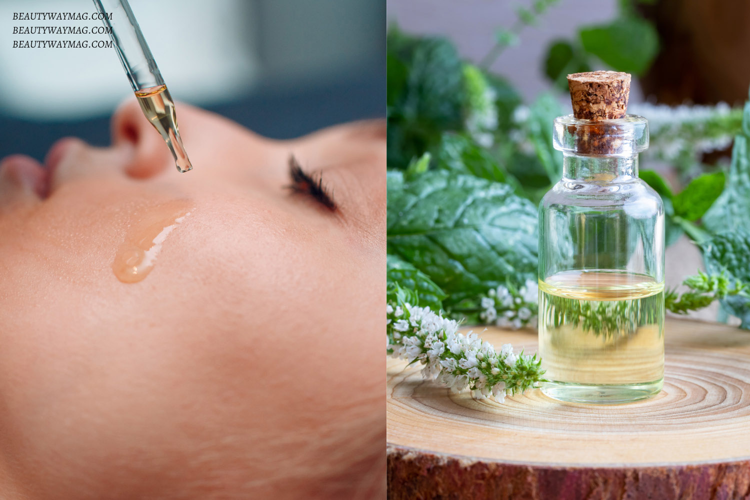 Peppermint Oil Beauty Benefits 2024 Hair Skin More BeautyWayMag peppermint-oil-beauty-benefits-2024-hair-skin-more-beautywaymag