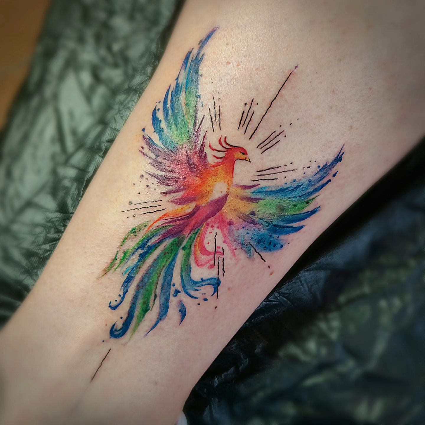 Small Colored Phoenix