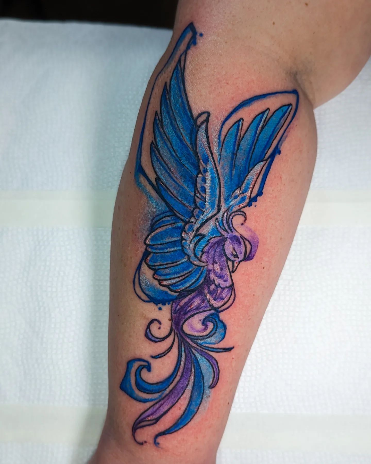Unique phoenix Tattoo