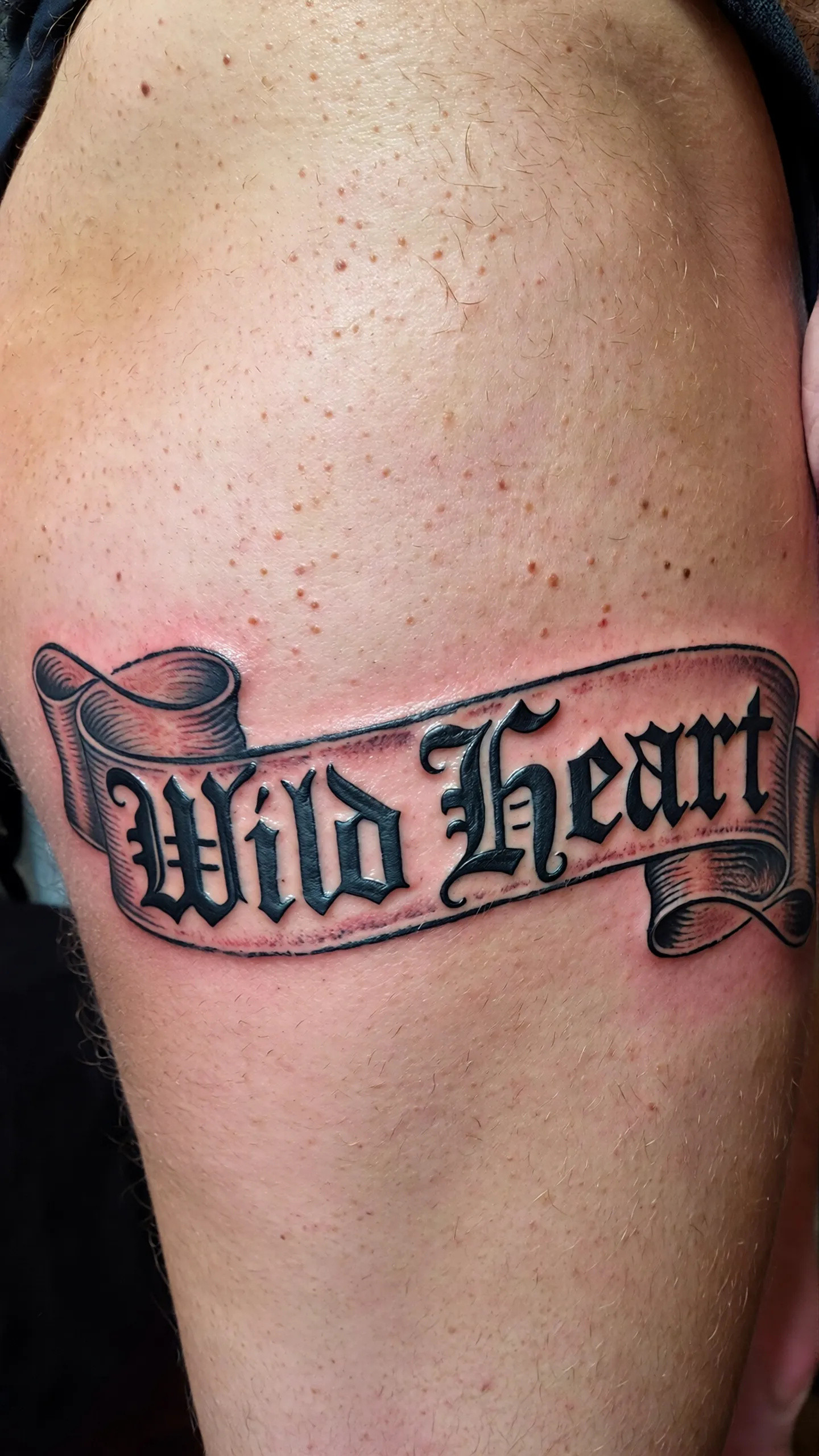 imported-image-1770121441