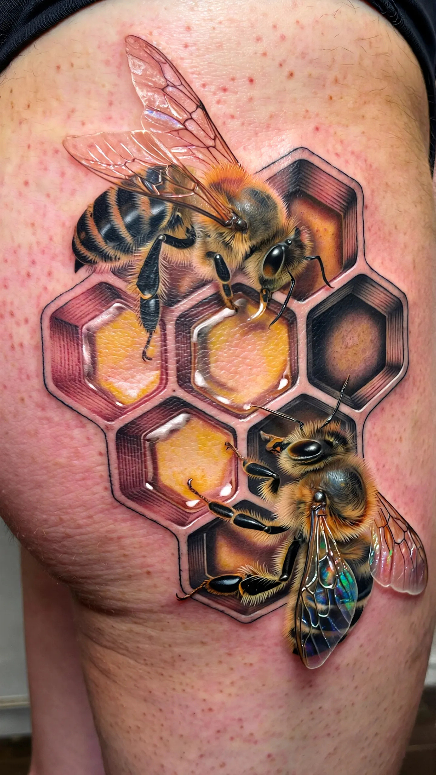 imported-image-1770121974