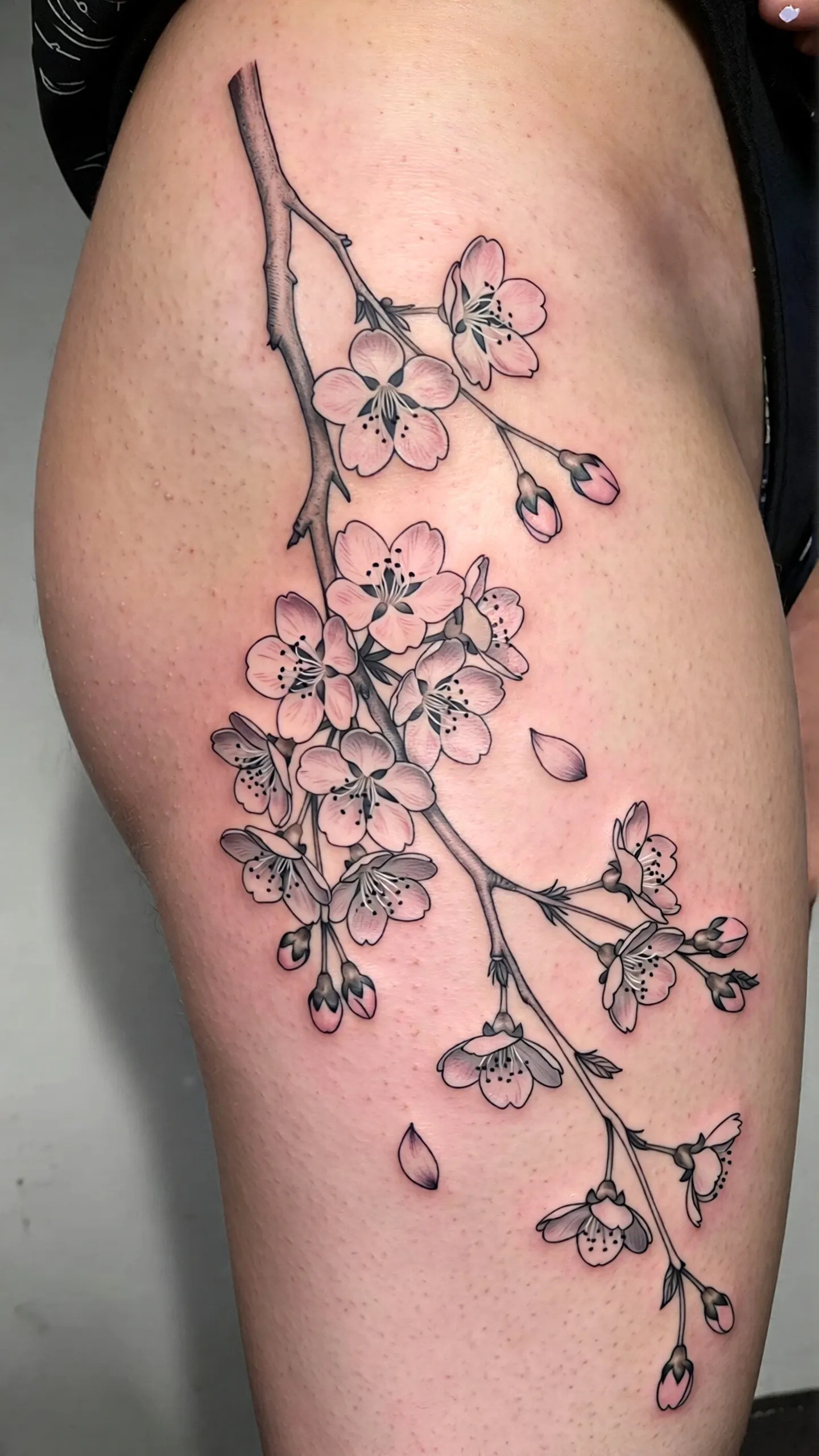 imported-image-1770122462