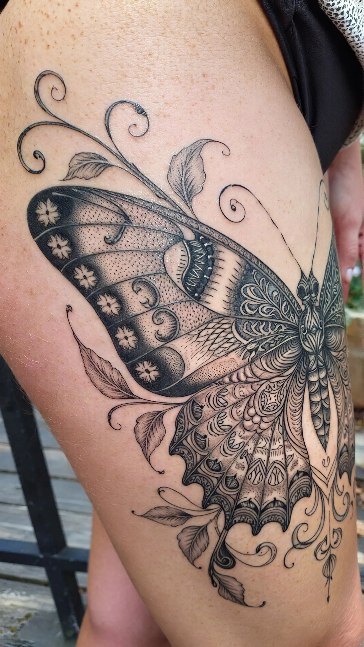 imported-image-1770372170