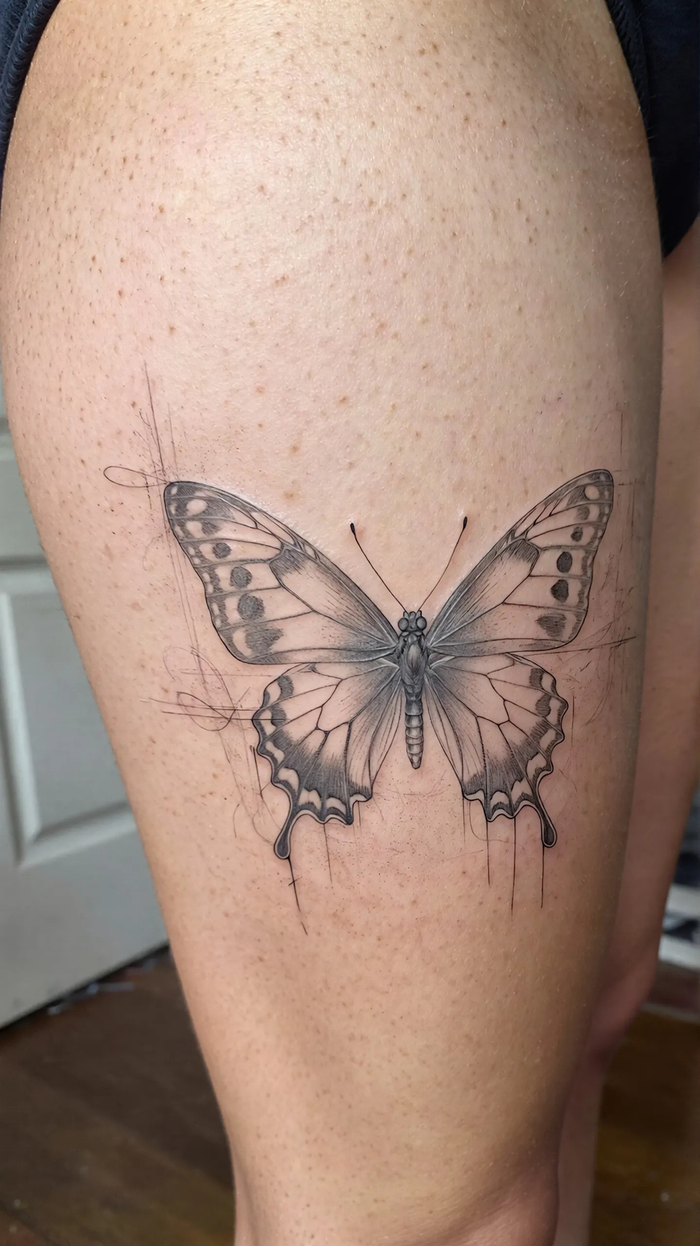 imported-image-1770372619