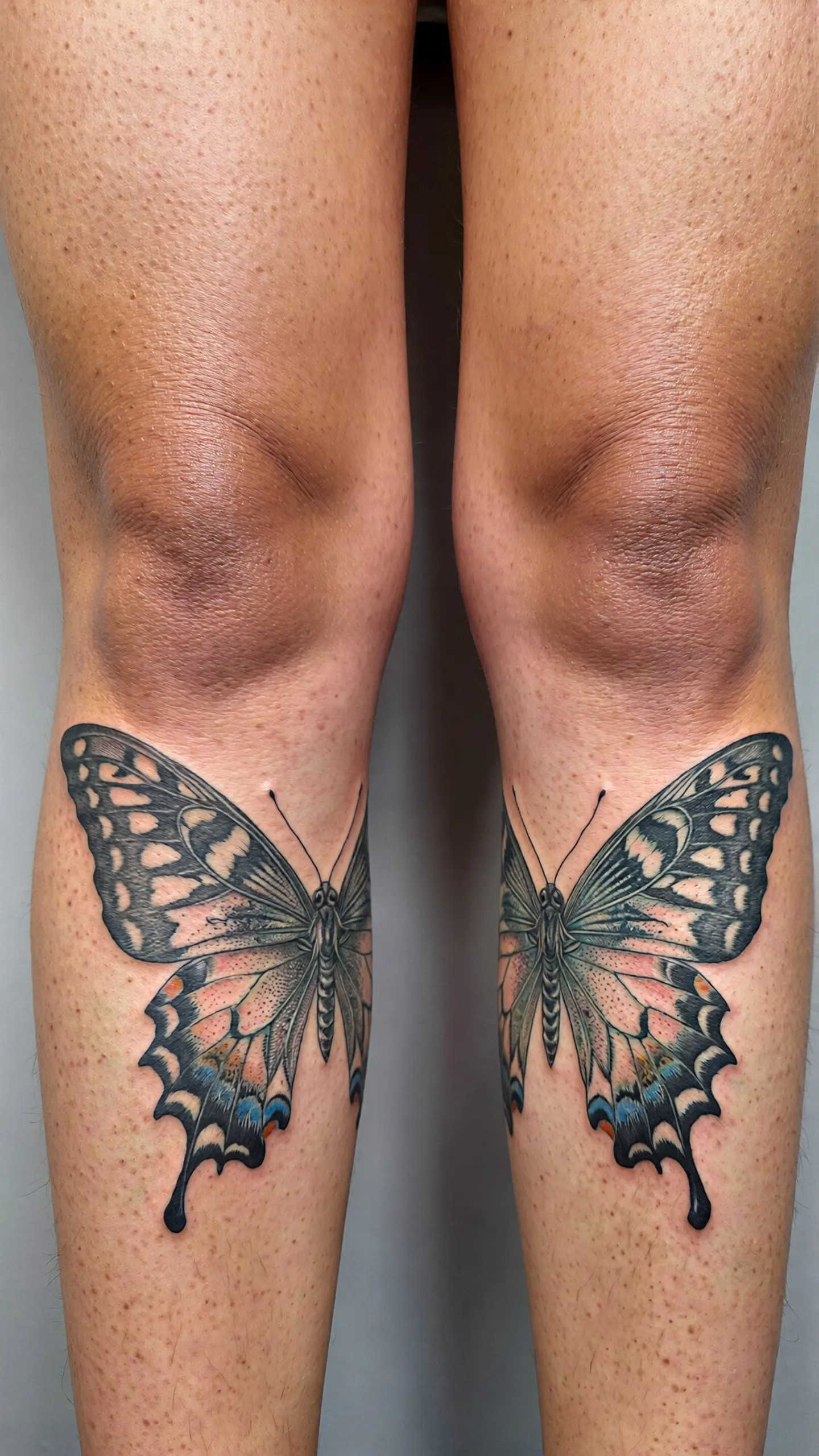 imported-image-1770372815