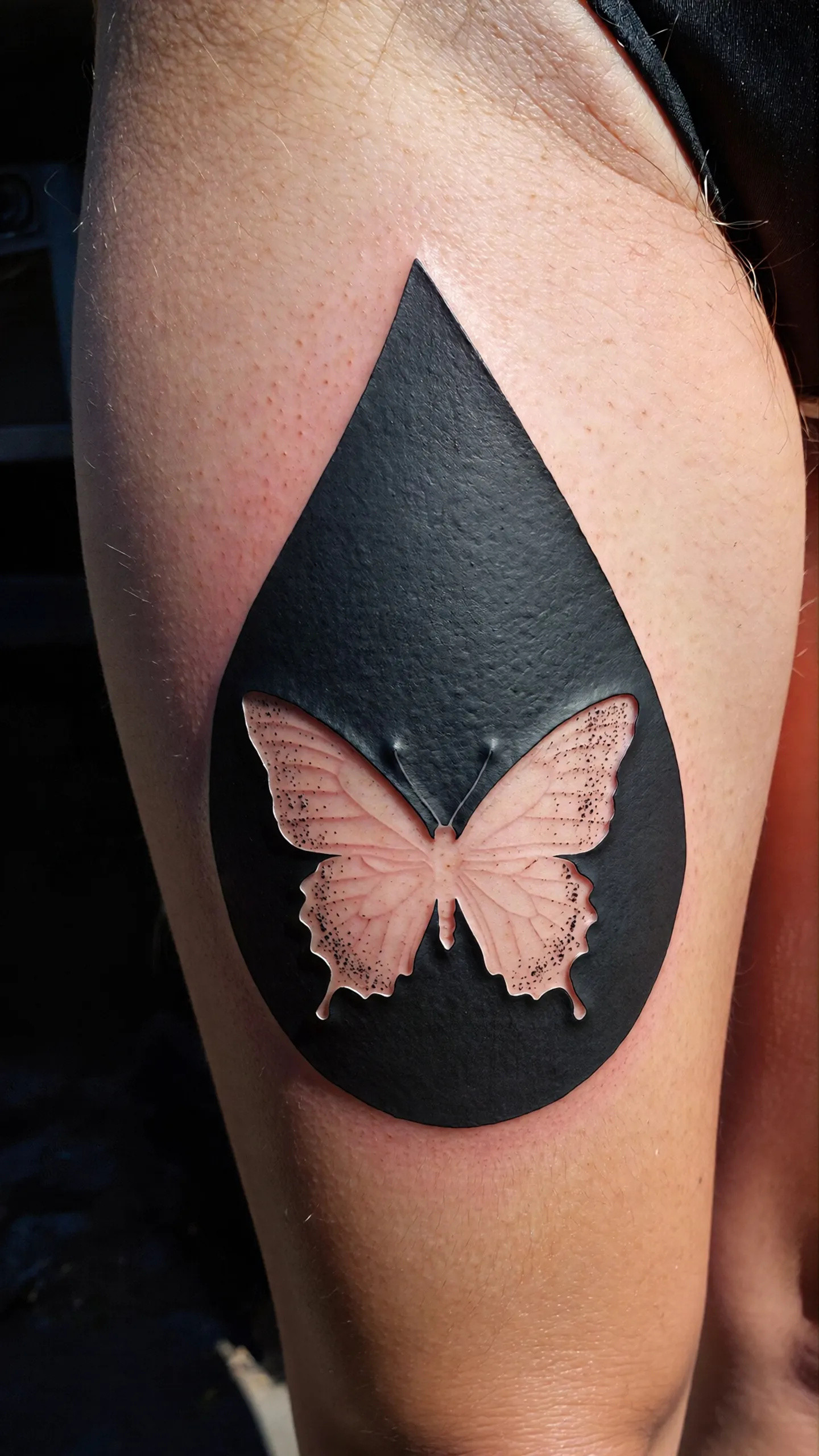 imported-image-1770373058