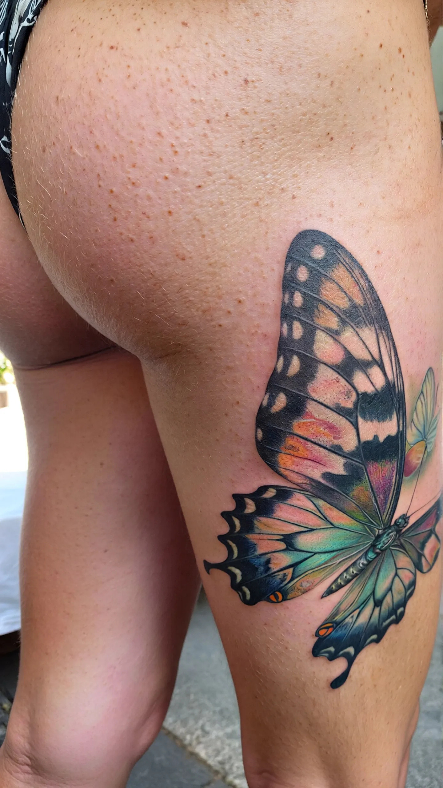 imported-image-1770373415