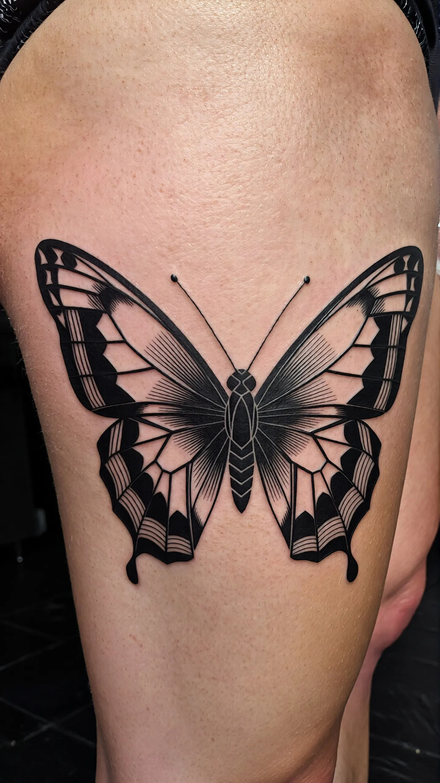 imported-image-1770373644