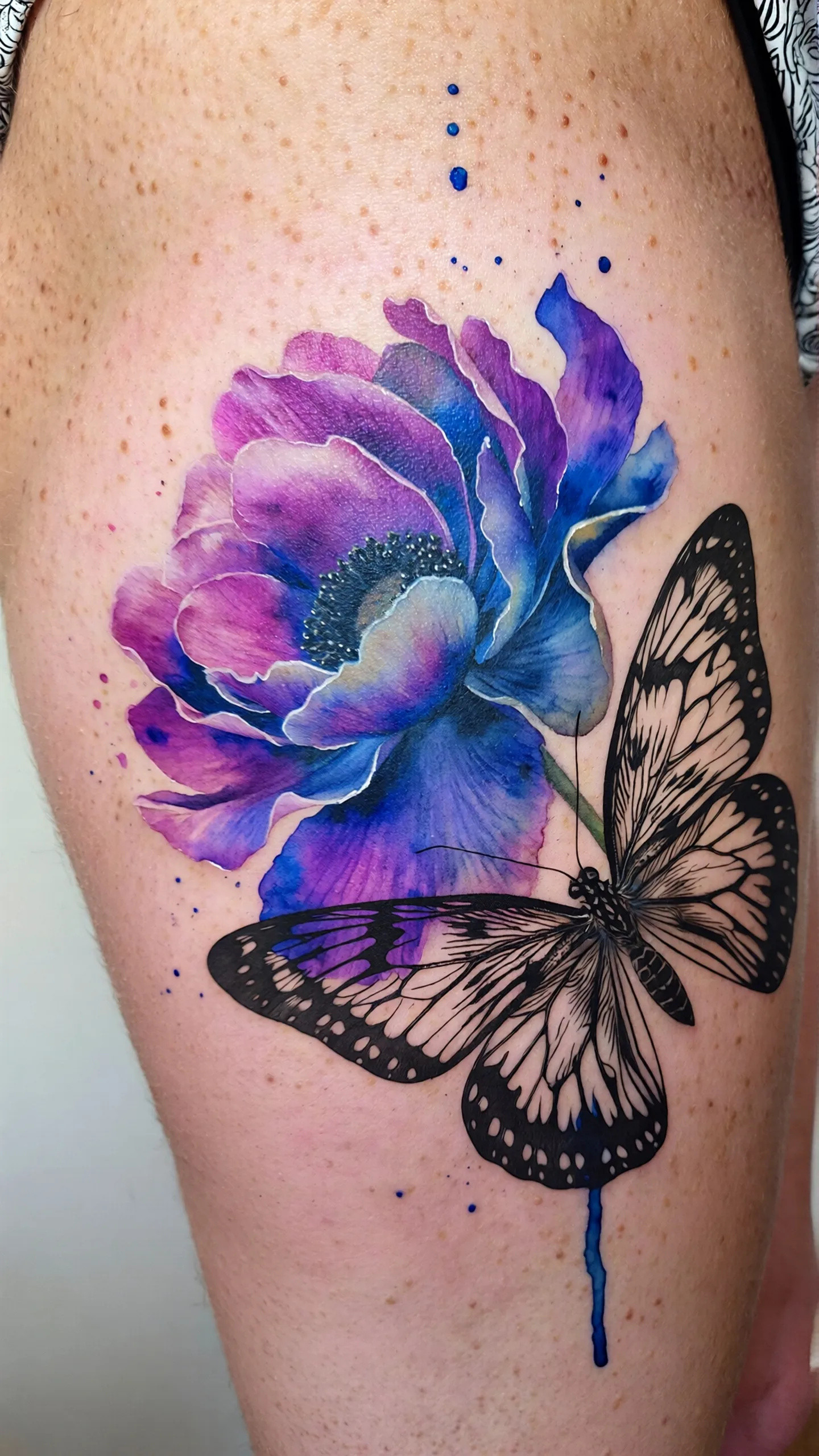 imported-image-1770374018