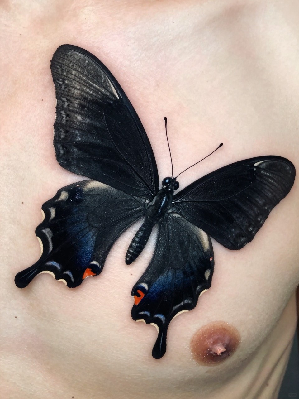 "Macro photograph of a chest piece: a photorealistic black swallowtail butterfly tatto in a dramatic, angled flight pose. Incredible detail on wing scales and body, against clean skin."