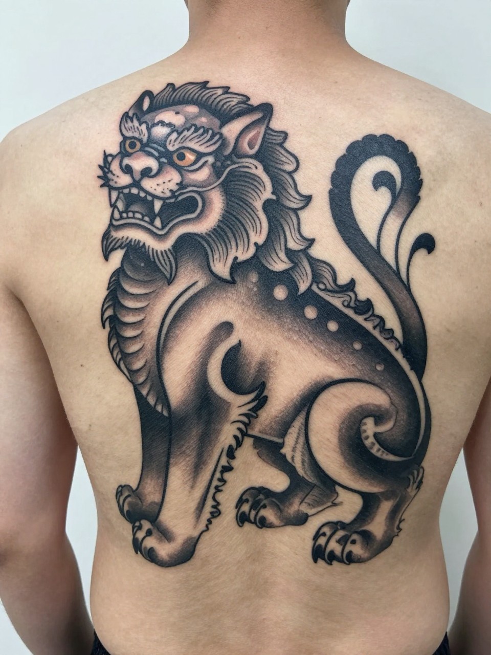 "close-up of a full back Japanese Foo Dog tattoo on a man, guardian lion-dog face and body, curled fur details, black and grey ink, bold traditional linework, soft shading, realistic skin texture, dramatic tattoo visibility, minimal background (no watermarks on images)"