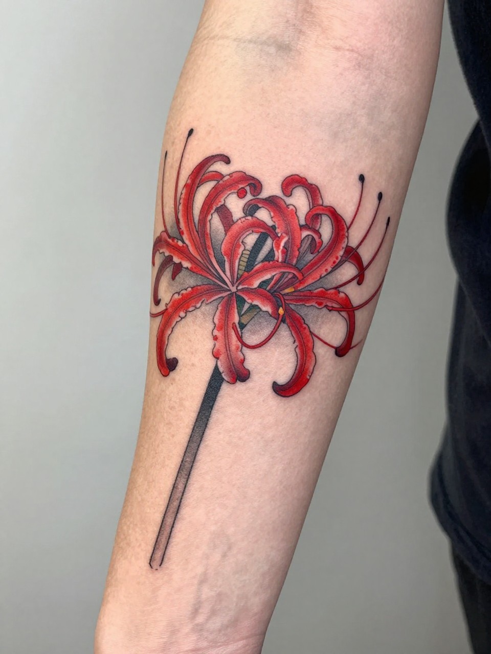 design-focused close-up of a Japanese red spider lily tattoo on the forearm, long curved petals, black and grey ink with rich red accents, fine traditional linework, realistic skin texture, minimal blurred background, modern tattoo inspiration photo (no watermarks on images)