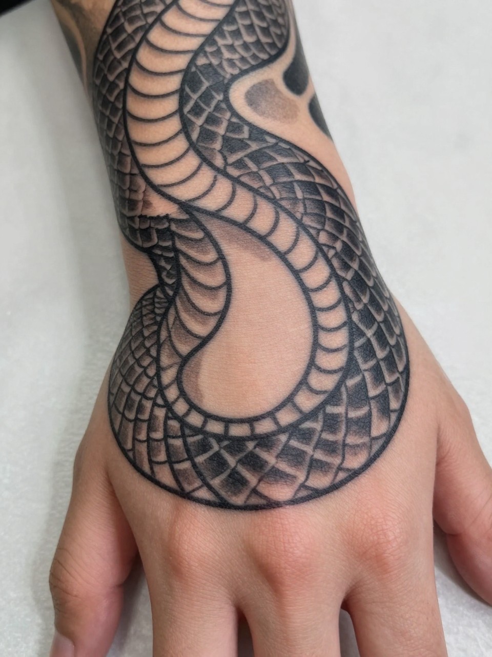 extreme close-up of a traditional Japanese snake tattoo across the hand, curved body shape, fine scale details, black and grey ink, bold linework, soft shading, realistic skin texture, minimal soft background, design-focused tattoo inspiration photography (no watermarks on images)