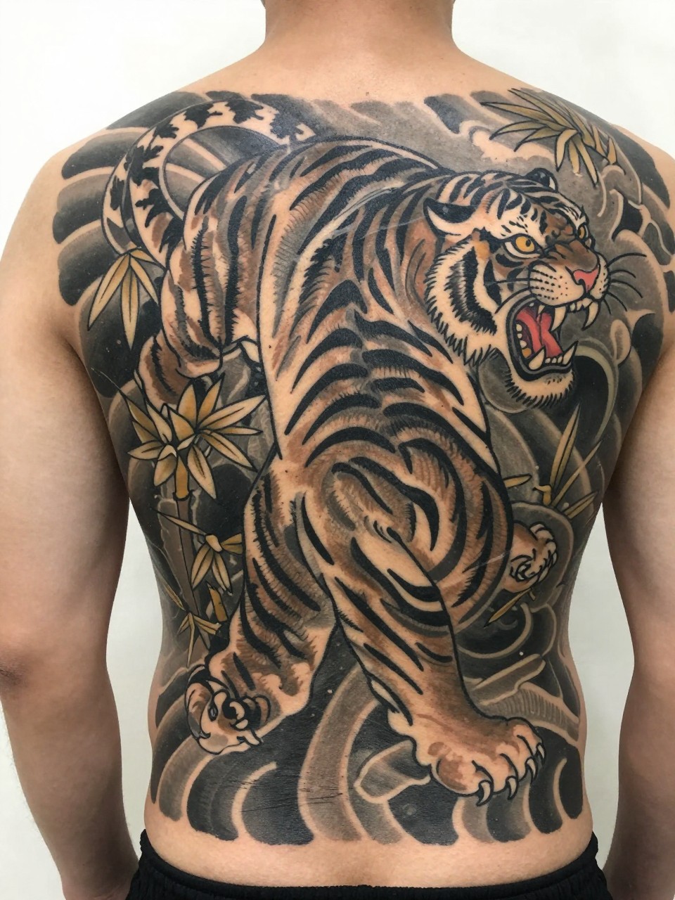 close-up of a full back Japanese tiger tattoo on a man, roaring tiger face and body with bamboo accents, black and grey ink, bold traditional Japanese linework, soft shading, realistic skin texture, design-focused tattoo visibility, minimal background (no watermarks on images)