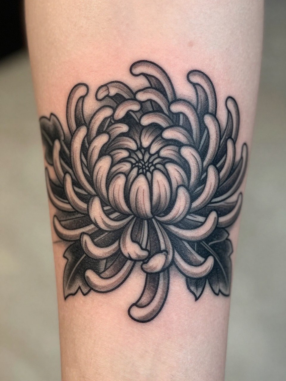 macro shot of a Japanese chrysanthemum tattoo on the forearm, layered petals in a round bold shape, black and grey ink, crisp traditional linework, smooth shading, realistic skin texture, tight crop, design-first tattoo composition, soft neutral background, tattoo inspiration image (no watermarks on images)