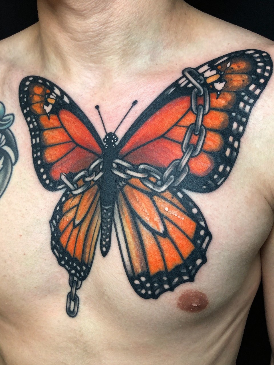 "Chest piece detail: a vibrant monarch with thick, broken shackle chains tattoo draped over its wings. Contrast between bright orange and cold, dark grey iron."