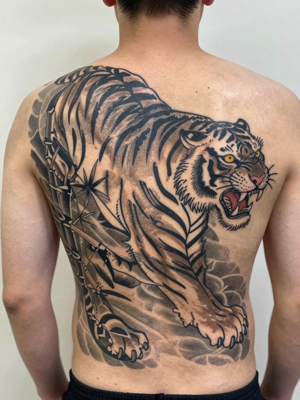 "close-up of a full back Japanese tiger tattoo on a man, roaring tiger face and body with bamboo accents, black and grey ink, bold traditional Japanese linework, soft shading, realistic skin texture, design-focused tattoo visibility, minimal background (no watermarks on images)"